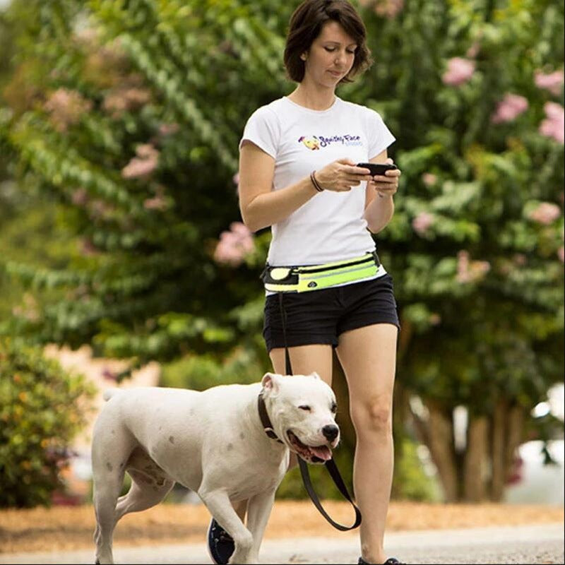 Hands Free Dog Leash With Storage - Little Paws Bargains