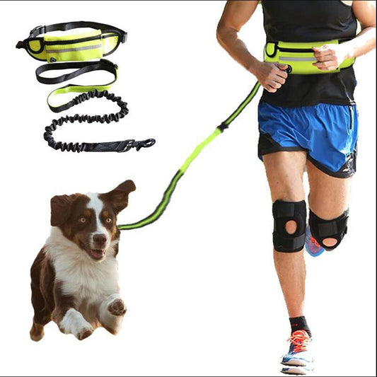 Hands Free Dog Leash With Storage - Little Paws Bargains